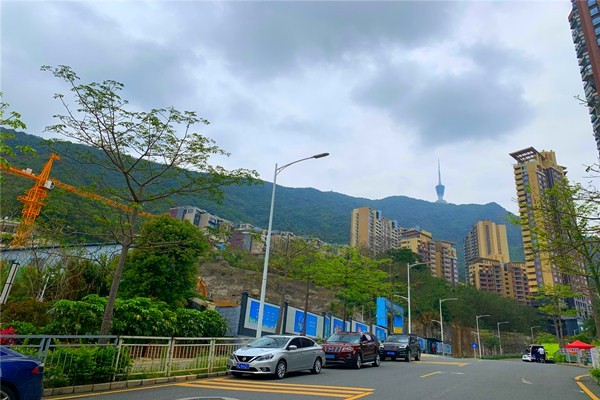 深圳东方凤雅名苑开发商《售楼处》-普陀新闻