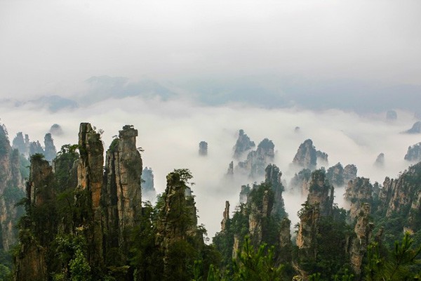 邹平5月份到湖南张家界旅游民宿排名张家界必玩景点推荐