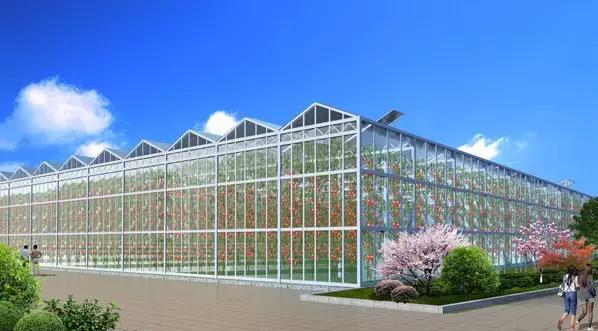 江门玻璃连栋智能温室建设质量精良全国施工专业人员